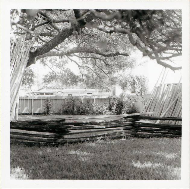 [Rear Yard of Gomez House, looking South] - 